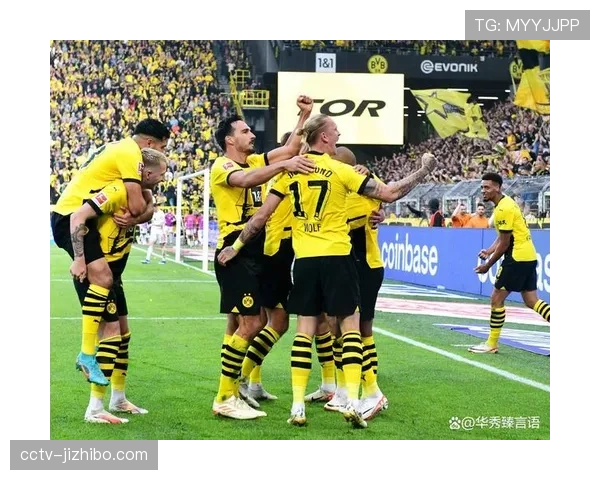 多特蒙德主场草坪维护升级,应对欧冠双线作战 多特蒙德主场草坪维护升级,应对欧冠双线作战